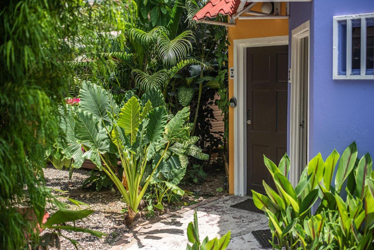 Jaco Lodge Quiet Place (Adults Only) 外观 照片