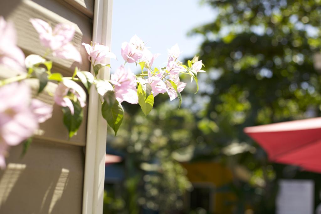 Jaco Lodge Quiet Place (Adults Only) 外观 照片